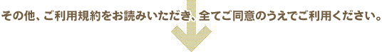 その他、ご利用規約をお読みいただき、全てご同意のうえでご利用ください。
